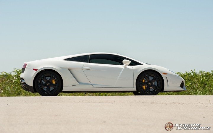 Lamborghini_white_XXWallpaper