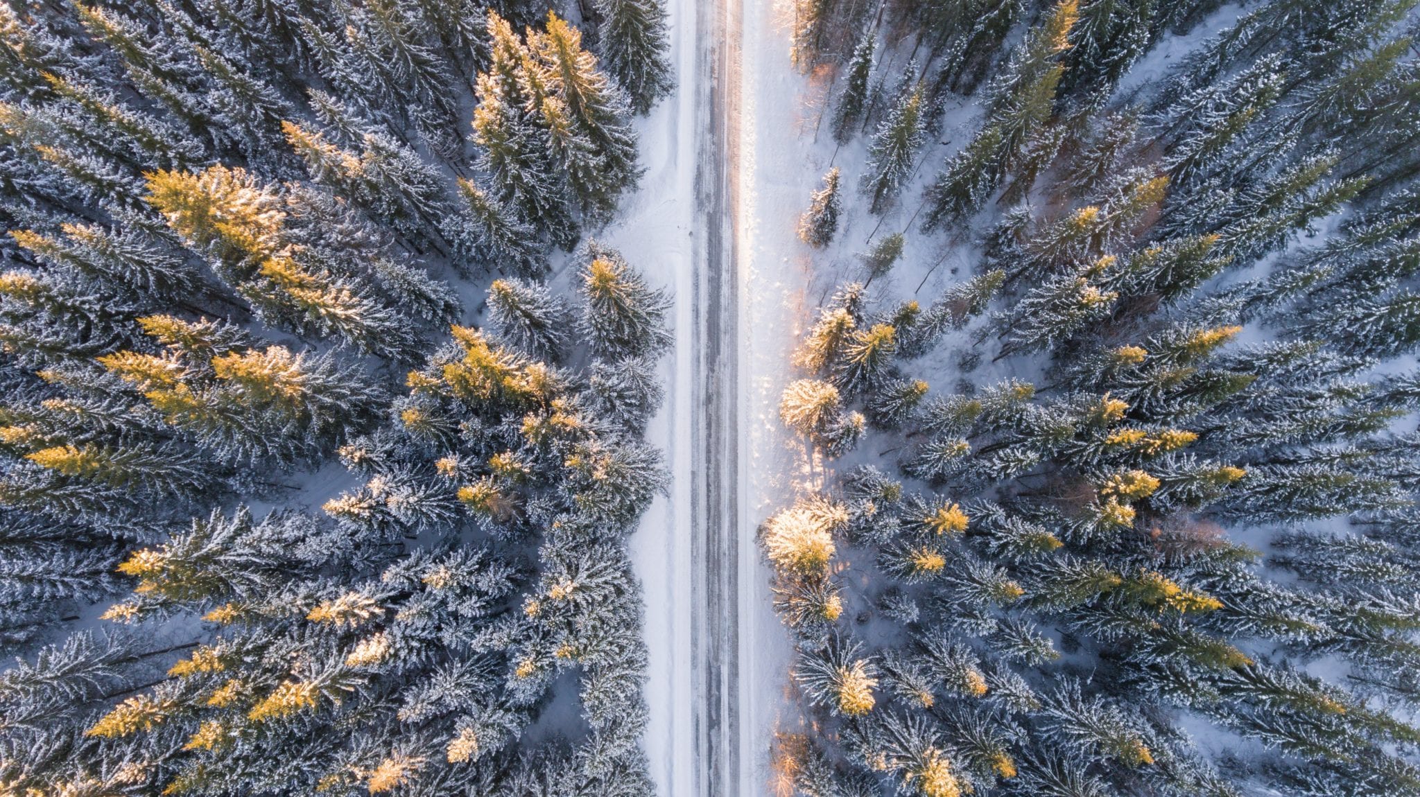 Snowy winter road in the middle of a forest