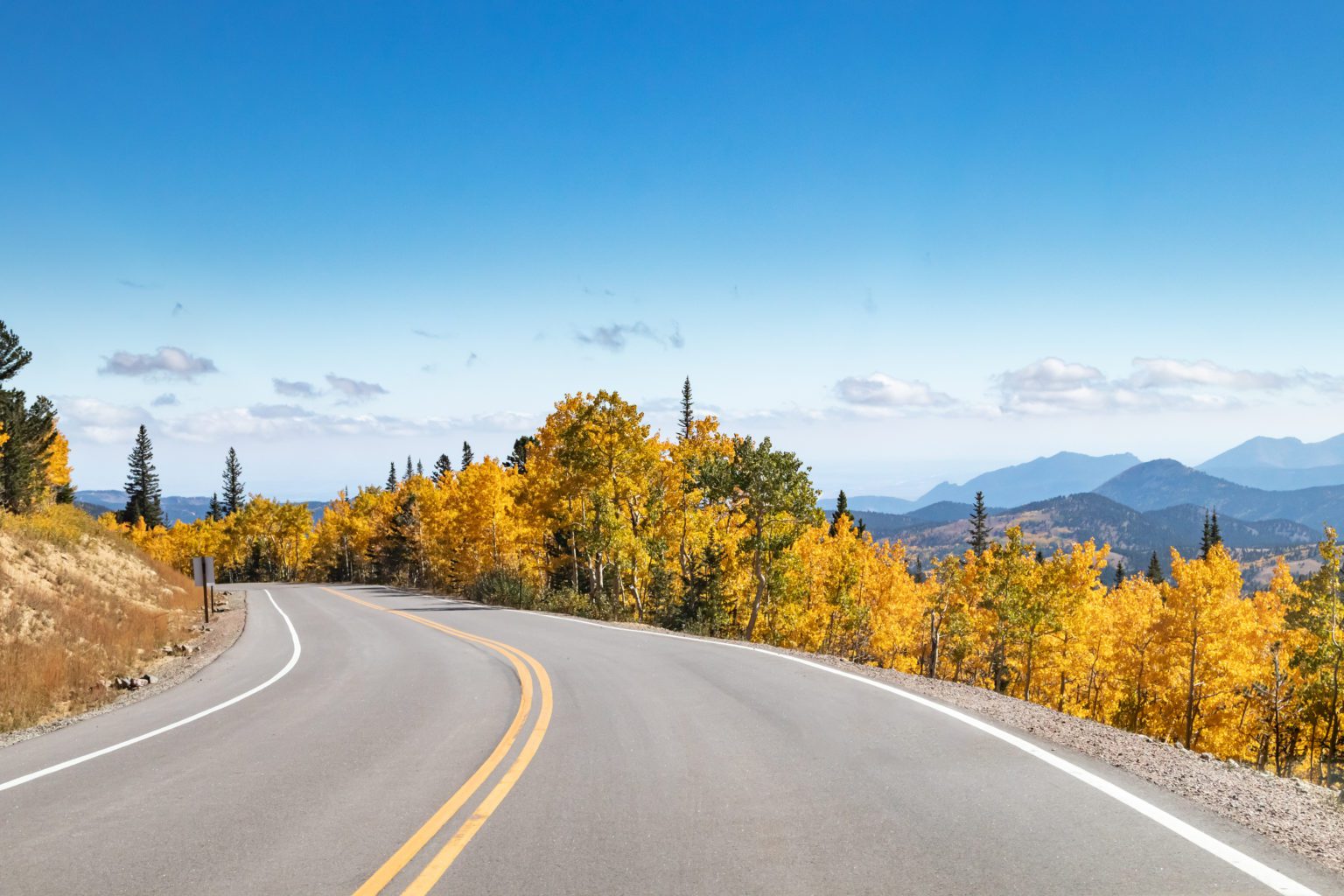 Empty highway winding through a golden fall aspen forest in a Colorado mountain landscape scene