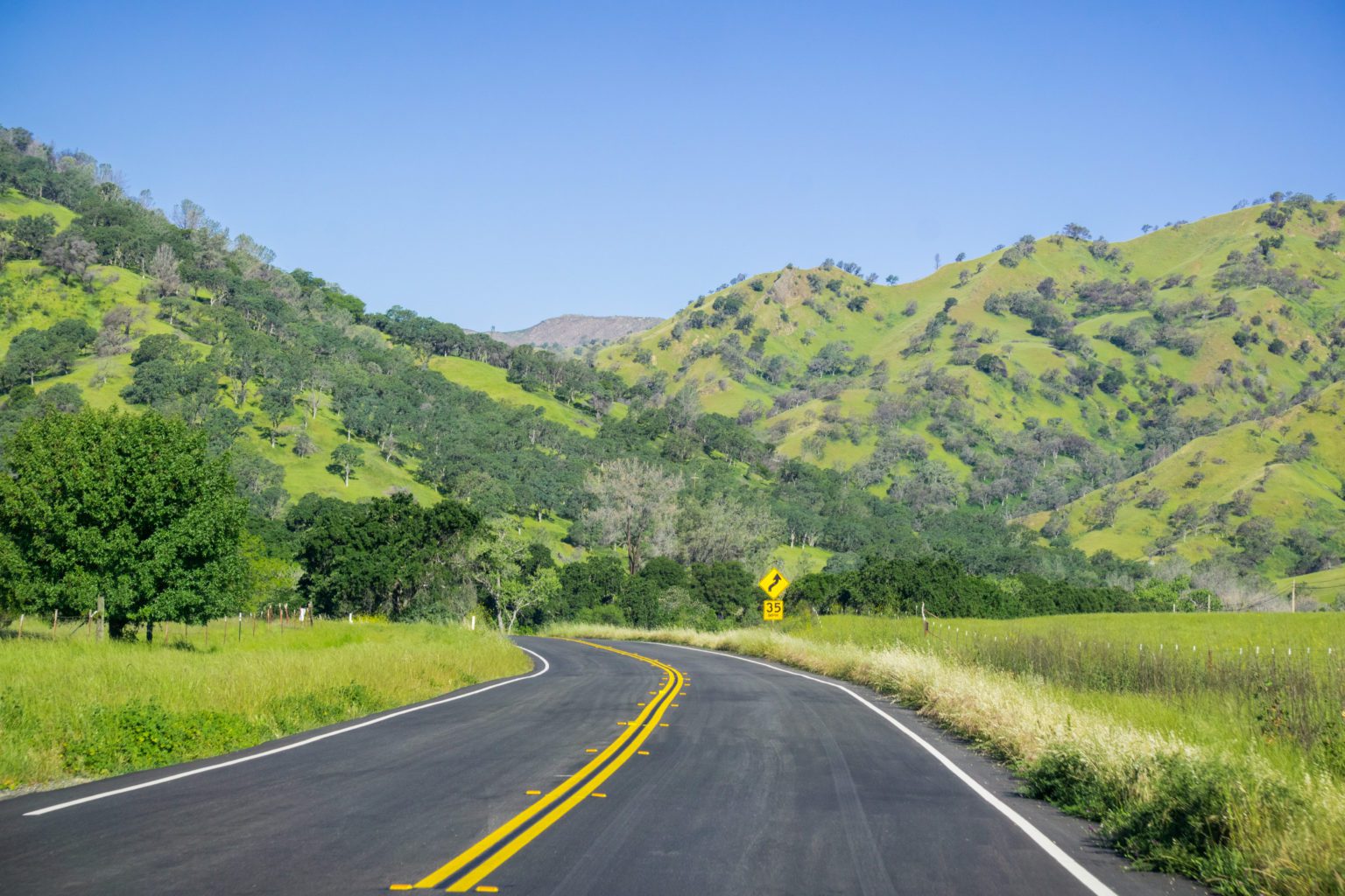 A scenic drive through the verdant hills of Sonoma Valley, California.